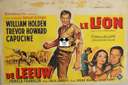 LION (the) / LION (le)
