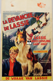 PAINTED HILLS / REVANCHE DE LASSIE
