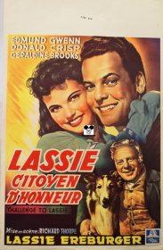 CHALLENGE TO LASSIE / LASSIE CITOYEN D'HONNEUR