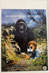GORILLAS IN THE MIST / GORILLES DANS LA BRUME