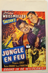 SWAMP FIRE / JUNGLE EN FEU