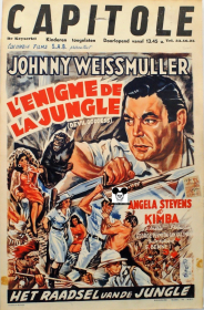 DEVILL GODDESS / ENIGME DE LA JUNGLE