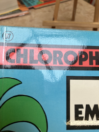 GUILMARD - CHLOROPHYLLE T11 - BE - EO 1974
