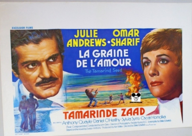 TAMARIND SEED / GRAINE DE L'AMOUR